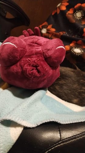 Customer photo review of Toji Fushiguro Cursed Spirit Plush