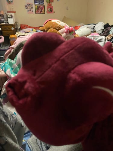Customer photo review of Toji Fushiguro Cursed Spirit Plush