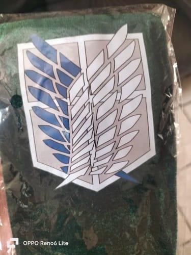 Customer photo review of Pet Survey Corps Cloak