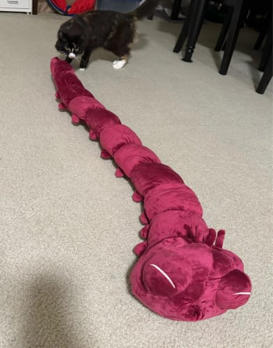 Customer photo review of Toji Fushiguro Cursed Spirit Plush