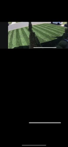 Customer photo review of 0-0-2 MicroGreene