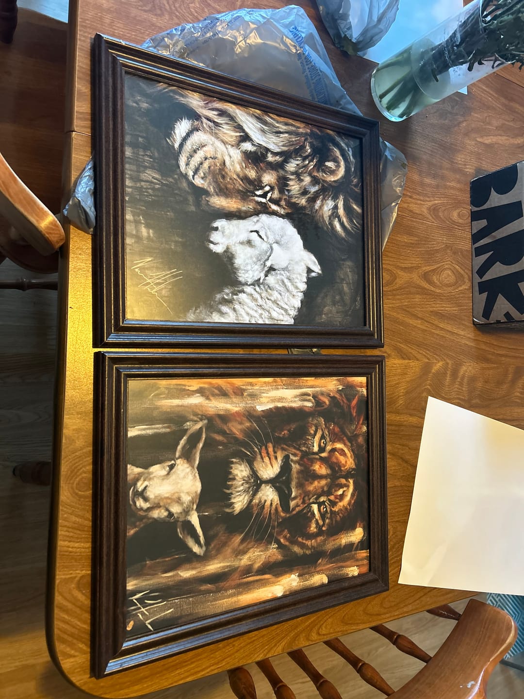 Customer photo review of Compassion of a King