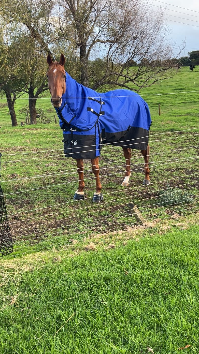 Customer photo review of Duke 1200d Detacha-neck