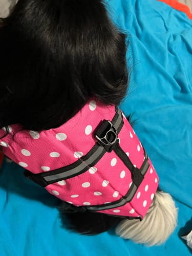 Customer photo review of Dog Life Vest