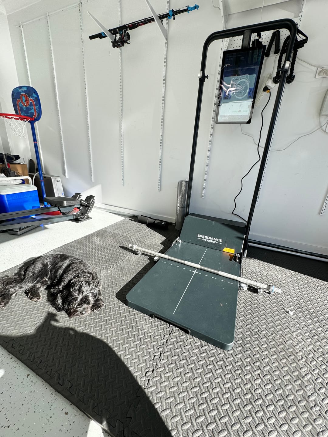 Customer photo review of Speediance Gym Monster