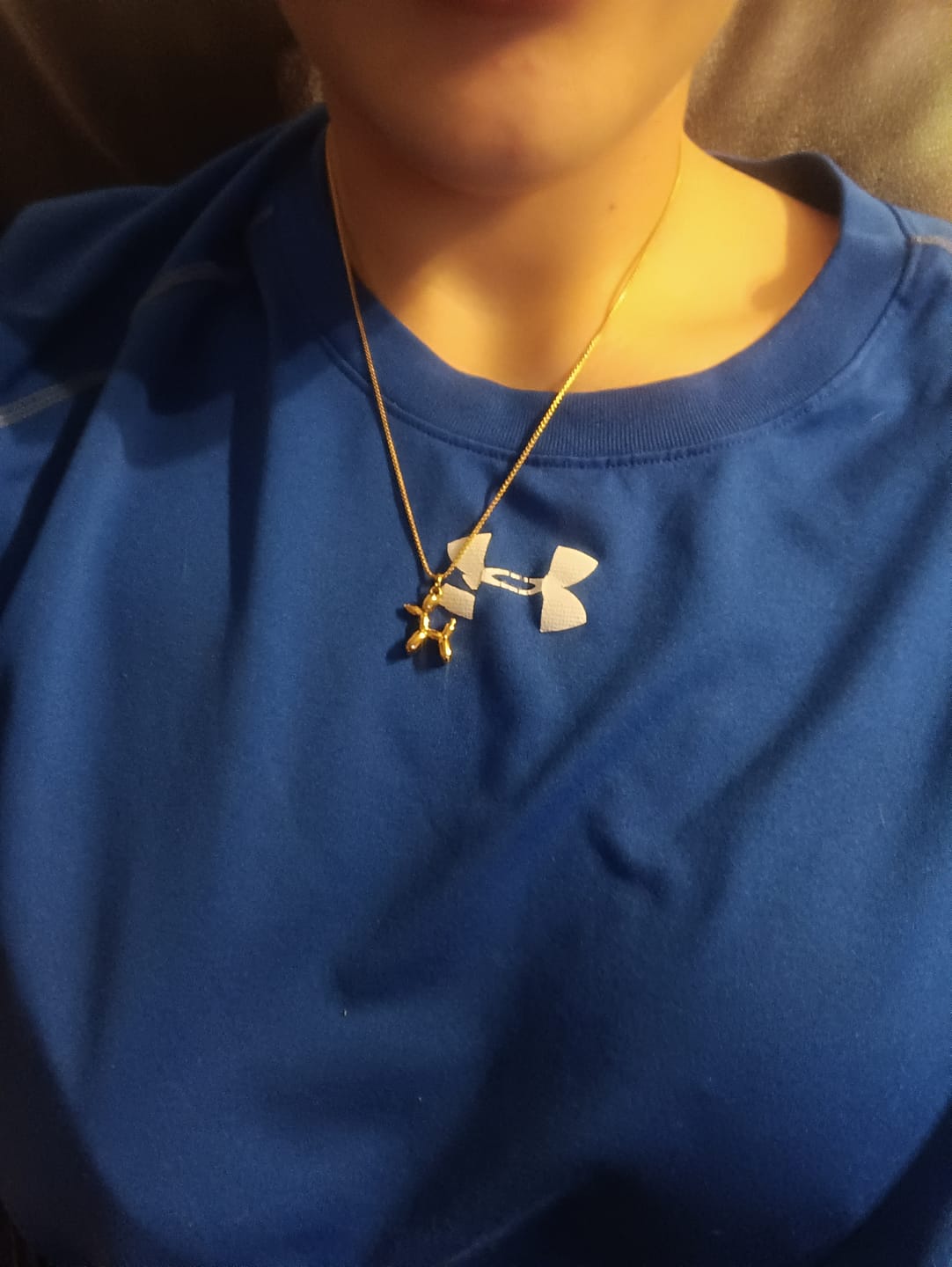 Customer photo review of Collar Doggy