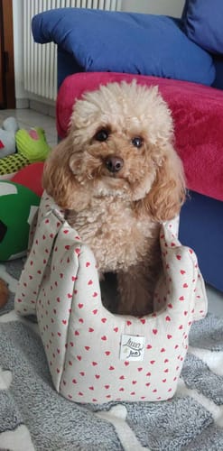 Customer photo review of Trasportino Little Love Heart