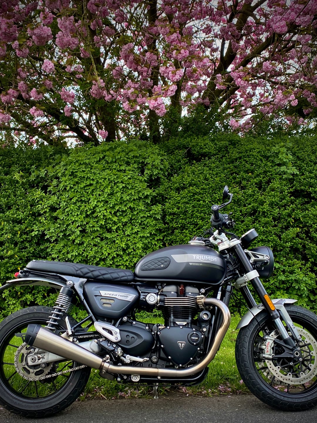 Customer photo review of tank pads mini leather diamond