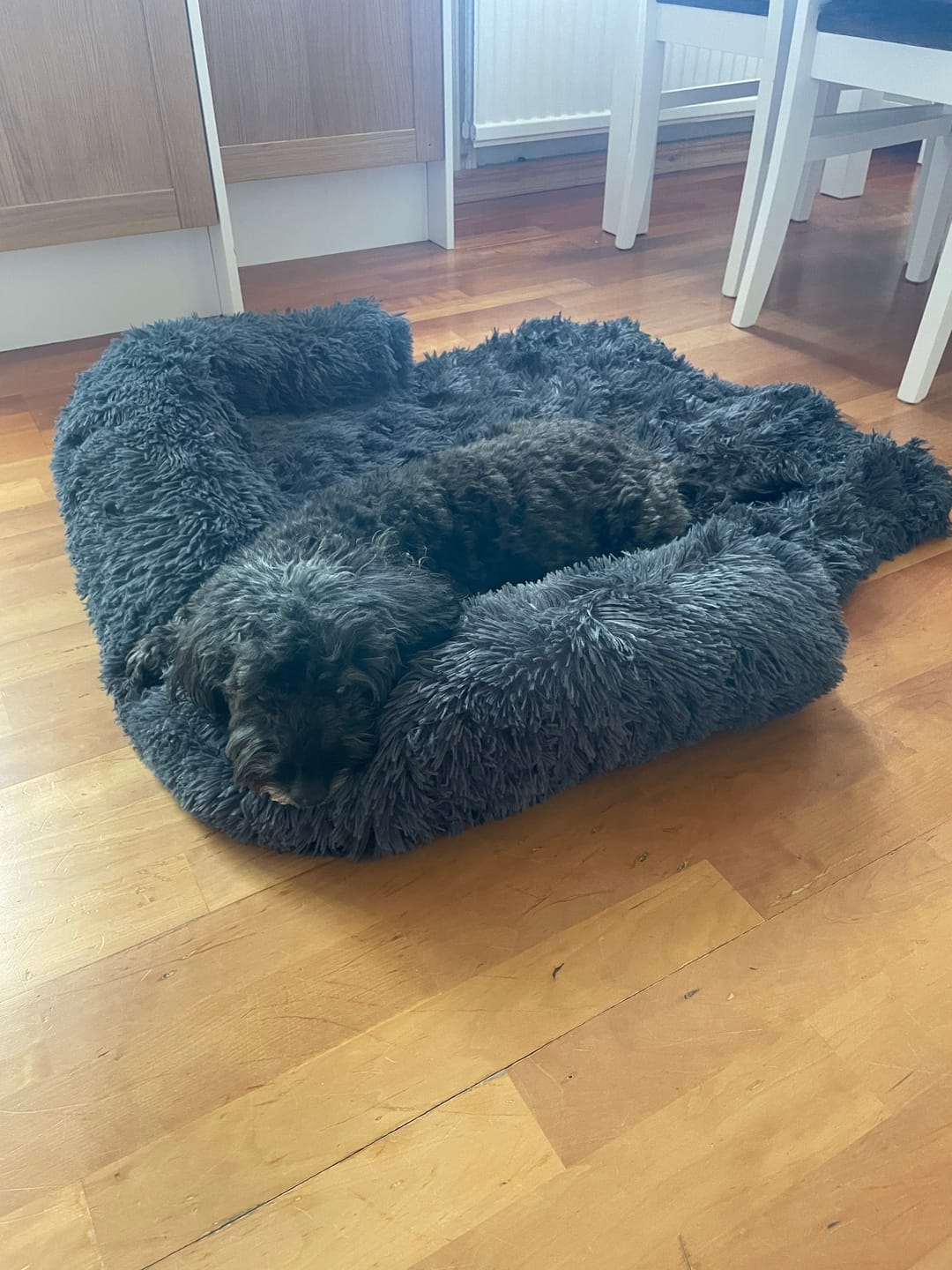 Customer photo review of CalmCouch - Motverkar ångest & skyddar din soffa