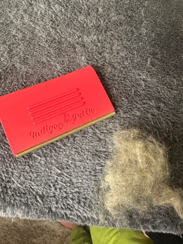 Customer photo review of Indigo Pro V2 Pet Hair Survival Kit