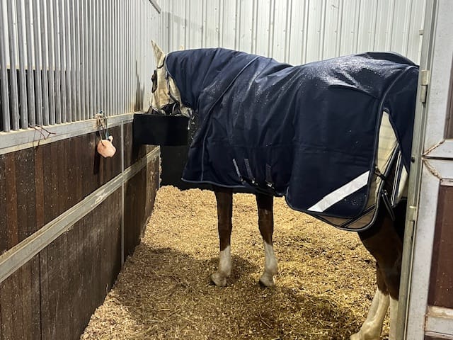 Customer photo review of LE Boxter Turnout Ripstop 200g