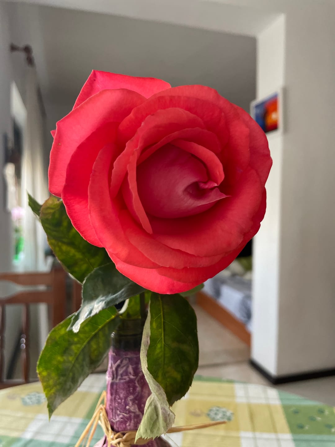 Customer photo review of Копринен серум за кристален блясък с органични масла и лечебни билки Doori Тайни от Изтока