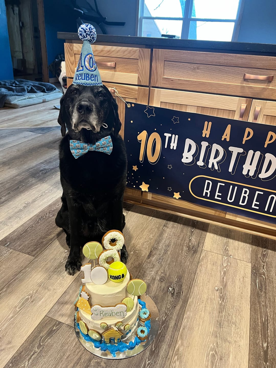 Customer photo review of Birthday Boy Bow Tie for Dog Collar or Cat Collar