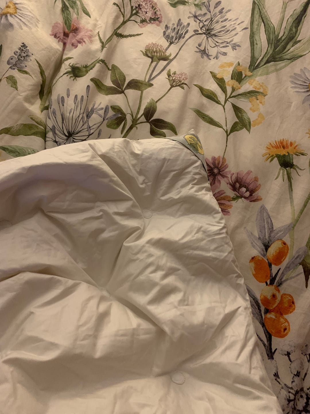 Customer photo review of Plumón Premium