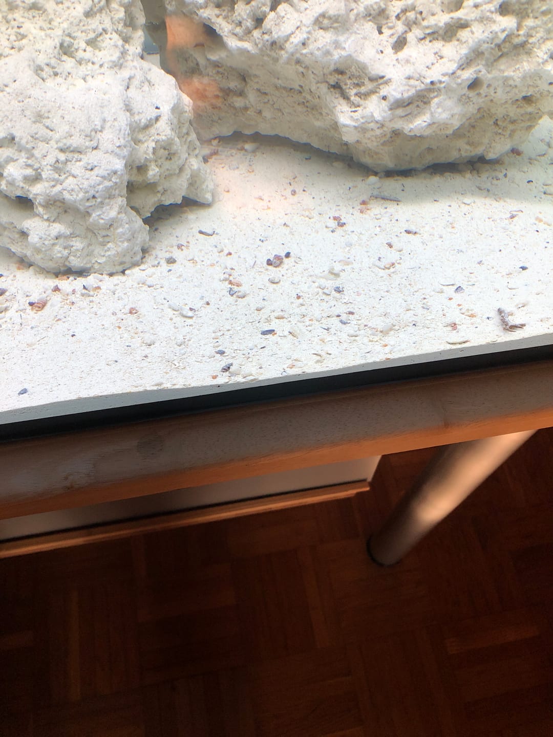 Customer photo review of Aragonite Live Reef Substrate 1,0- 2,5mm  7,26kg