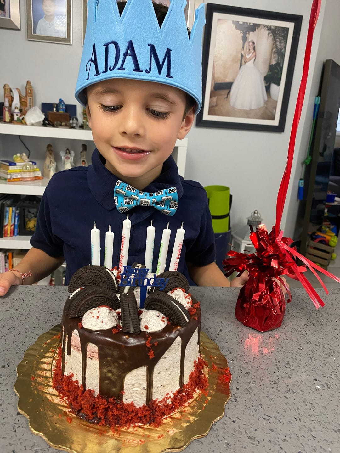 Customer photo review of Birthday Boy Bow Tie for Dog Collar or Cat Collar