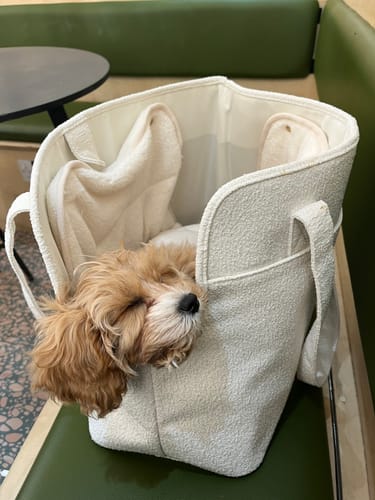 Customer photo review of Marshmallow┃The Bouclé Carrier