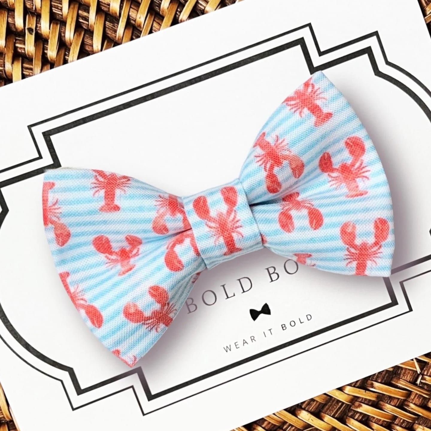Customer photo review of Nautical Lobster Bow Tie for Dog and Cat Collar