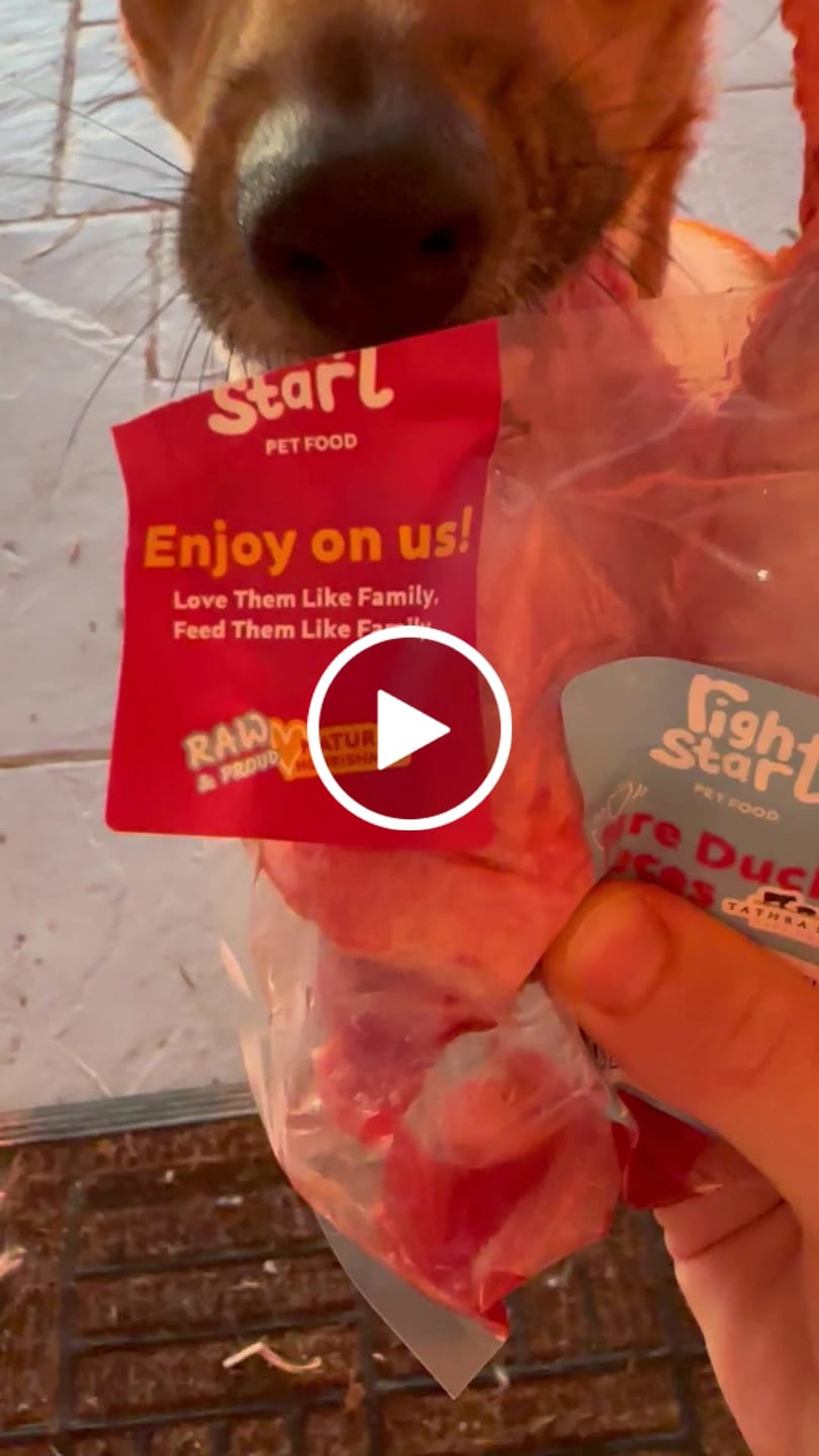 Customer video review of Pure Duck Wing for Dogs & Cats