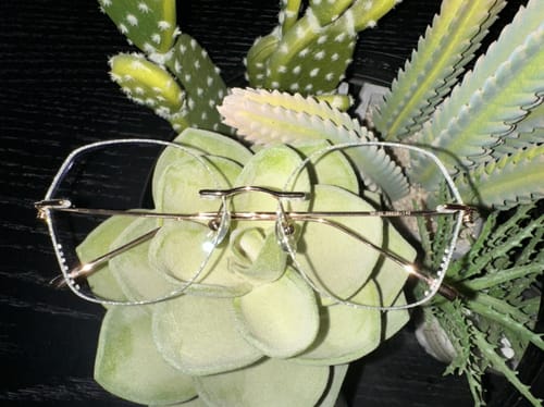 Customer photo review of Bella