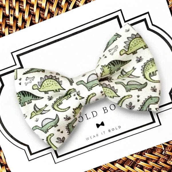 Customer photo review of Green Dinosaur Bow Tie for Dog and Cat Collar