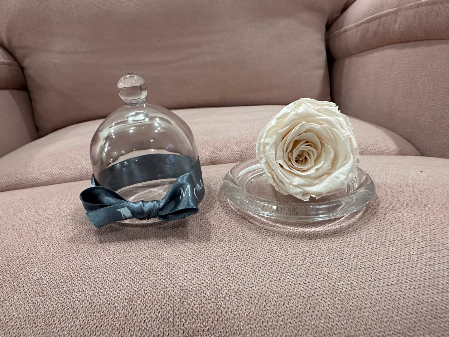 Customer photo review of Rosa Eterna Monet's con Capelo