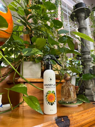 Customer photo review of Houseplant Insecticide w/ Neem