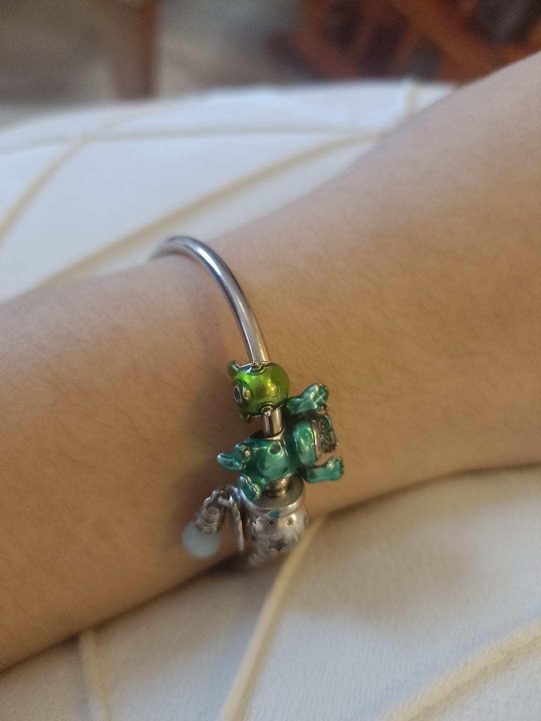 Customer photo review of Charm Tortuga
