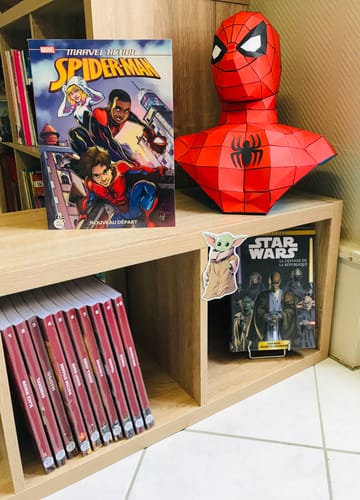 Customer photo review of Patrons Buste Spiderman (pdf)