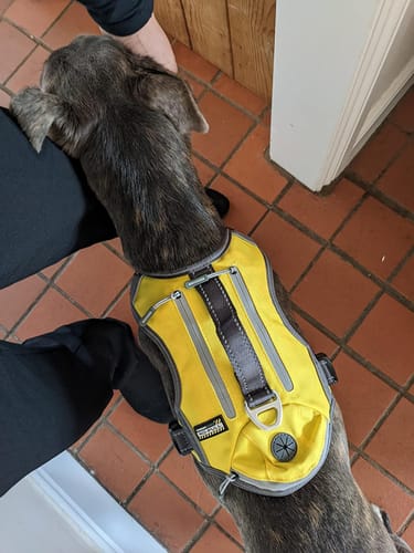 Customer photo review of FIDA No Pull Harness