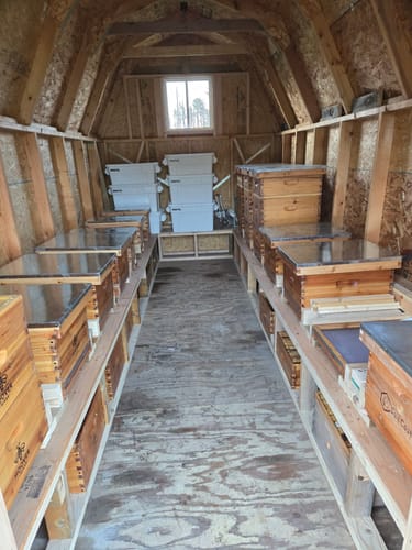 Customer photo review of BeeCastle Hives Elevate Your Beekeeping with Logo Free 5 Frame Beehive Kit!Includes Top and Inner Cover, Bee Box with Wooden Frame and Beeswax Plastic Black Foundation, Plus a Solid Bottom Board.