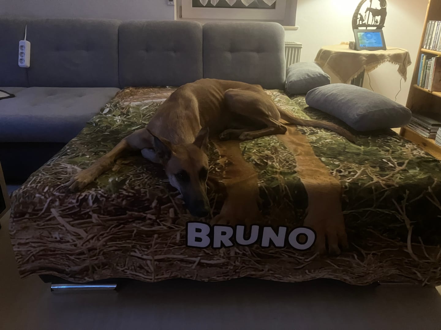 Customer photo review of Eigenes Foto - Individuelle Decke
