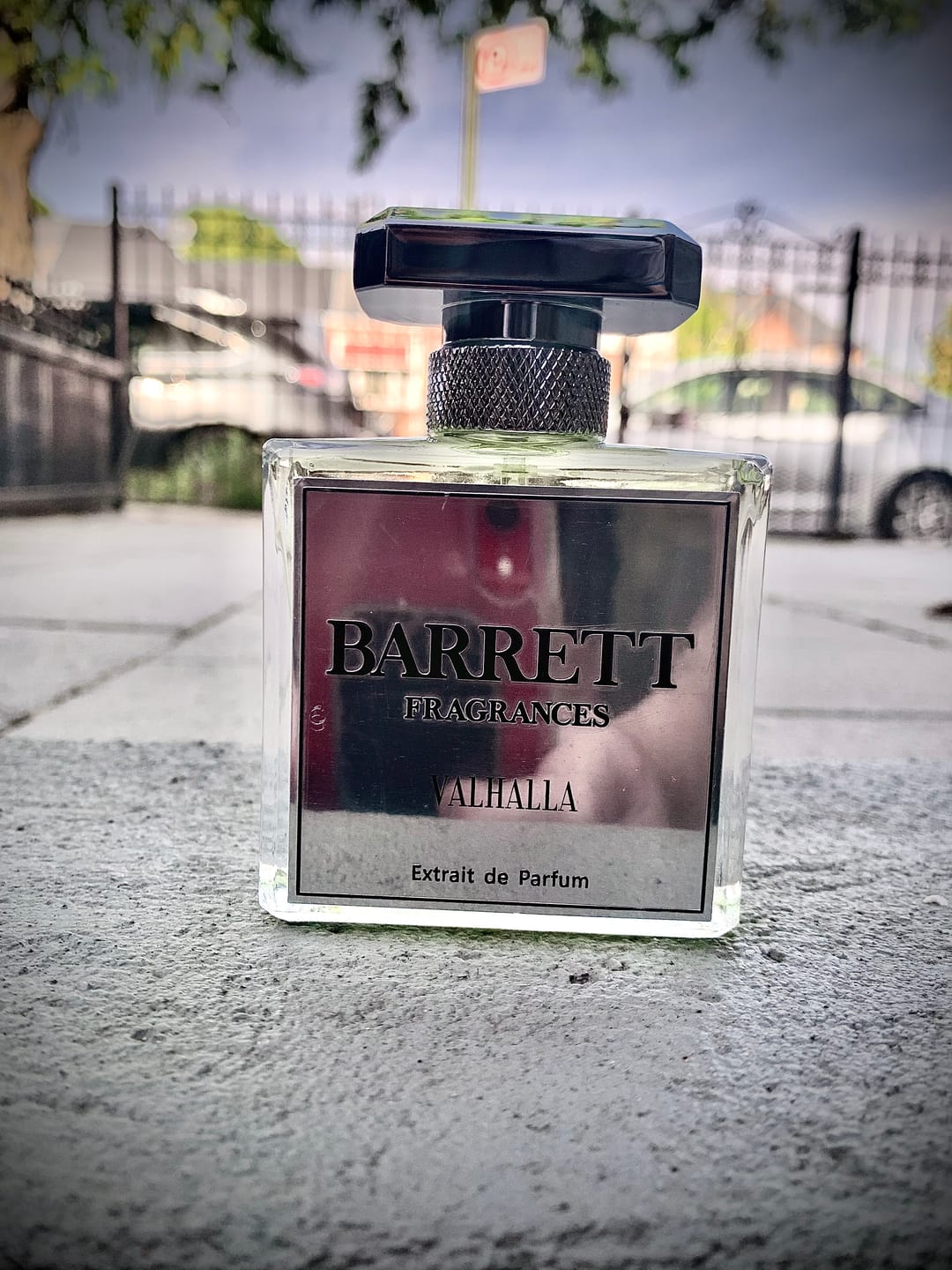 Customer photo review of Valhalla Inspired by Aventus