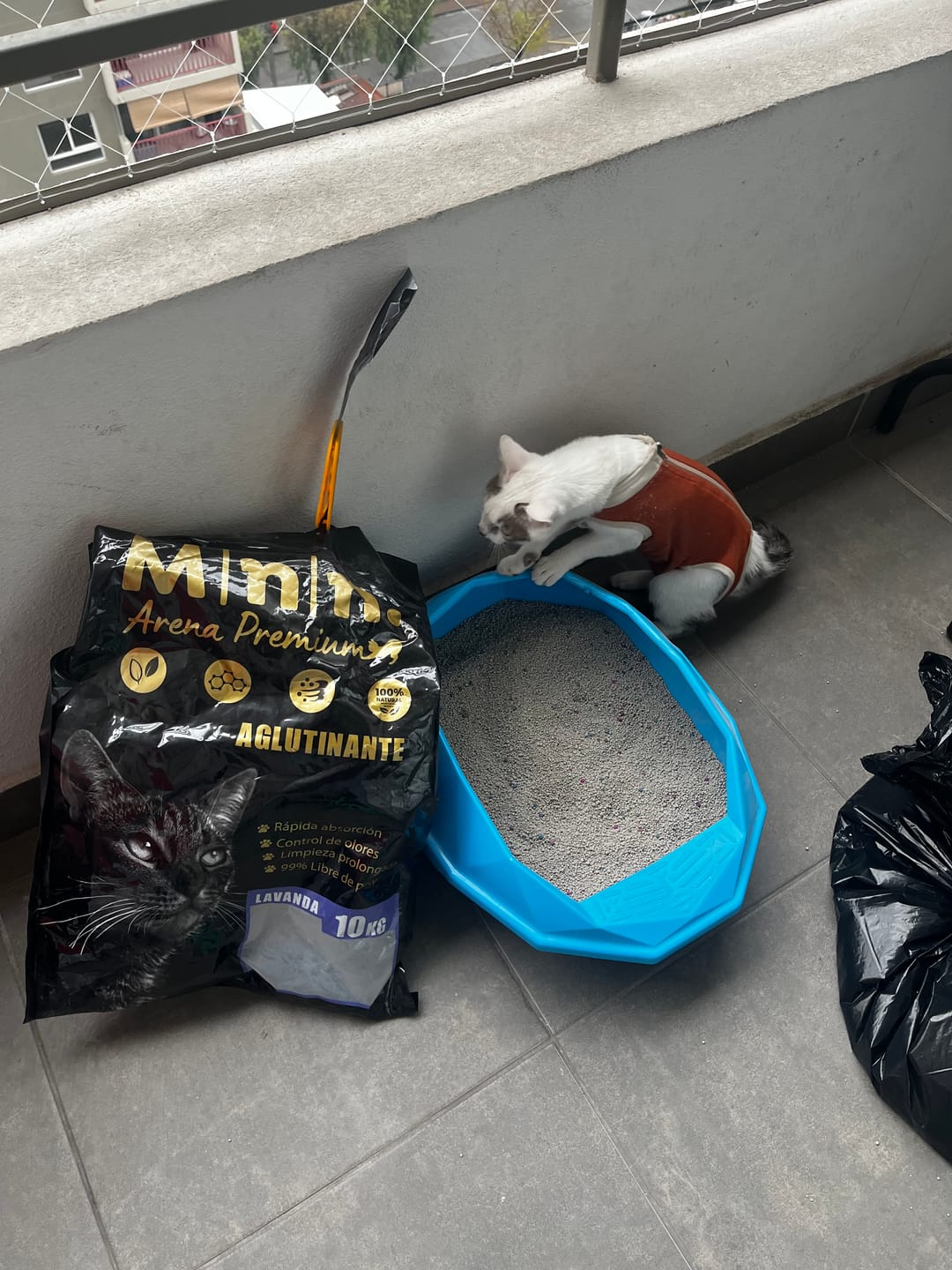Customer photo review of Arena Minino Aglutinante 16kg