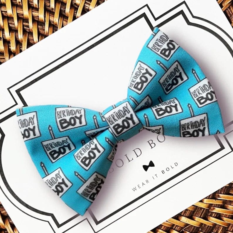 Customer photo review of Birthday Boy Bow Tie for Dog Collar or Cat Collar