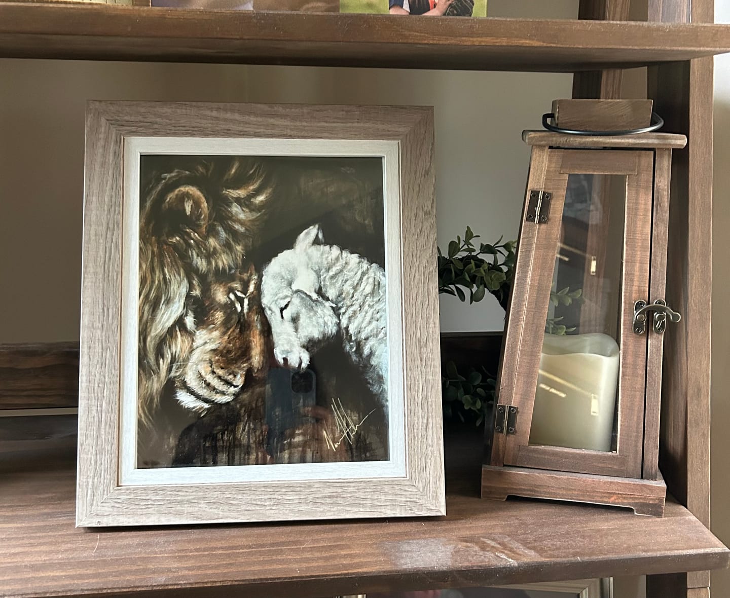 Customer photo review of Compassion of a King