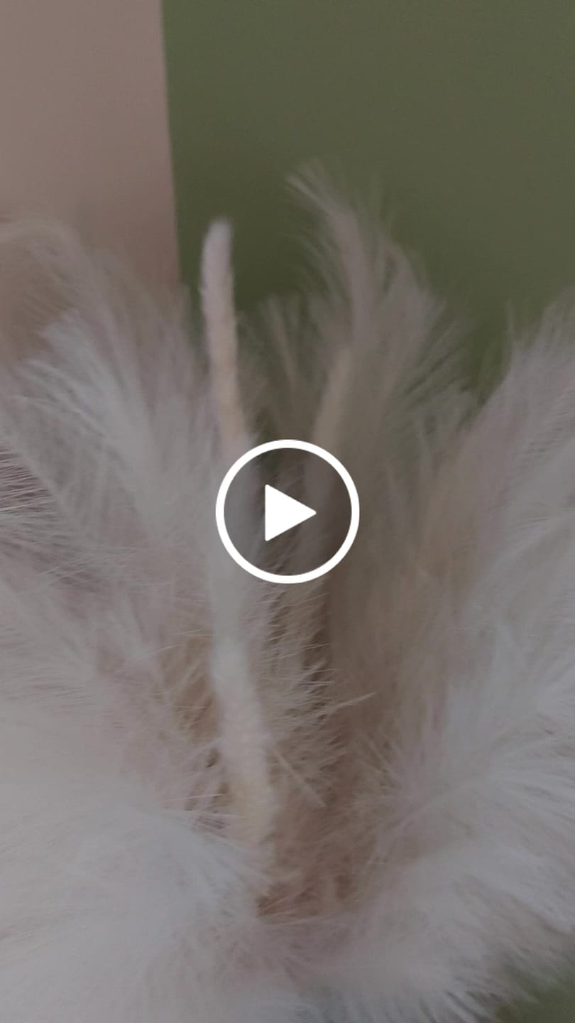 Customer video review of Pampas 110cm (3 stengels)- Beige