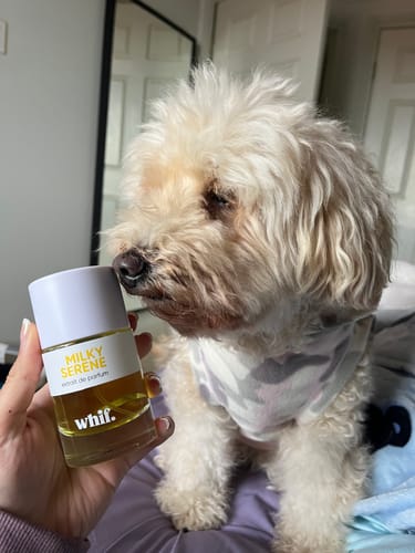 Customer photo review of Milky Serene