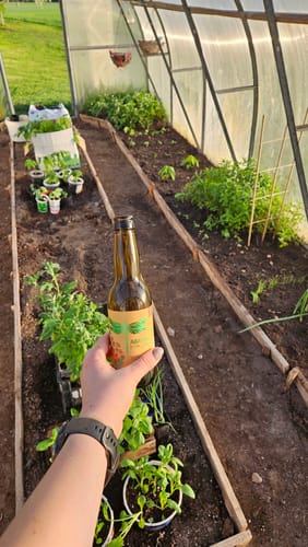 Customer photo review of Ābolu sidrs ar ķimenēm