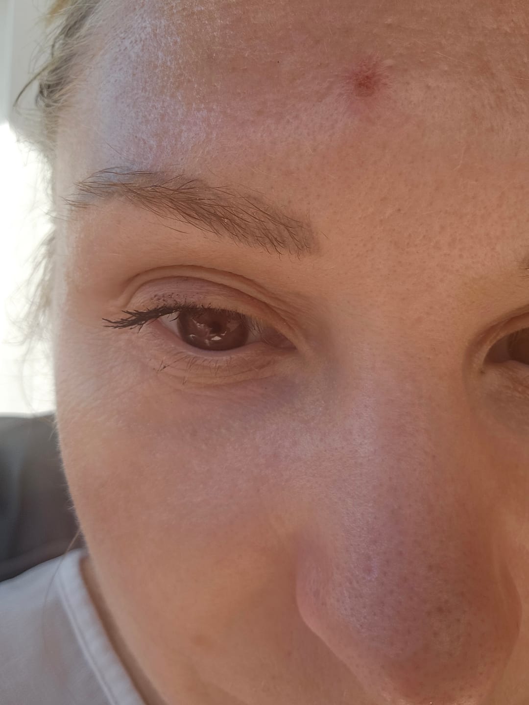 Customer photo review of Eyeling Dark Brown