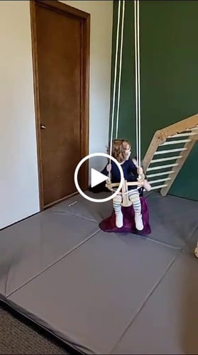 Customer video review of Horse Rope Swing