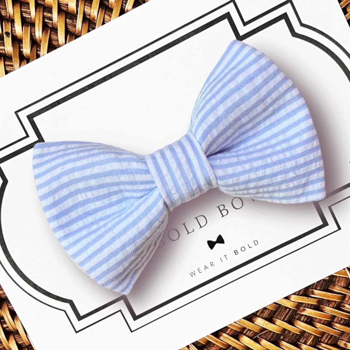 Customer photo review of Light Blue Seersucker Bow Tie for Dog and Cat Collar