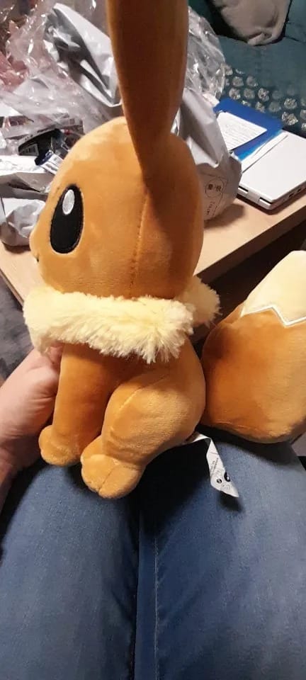Customer photo review of Eevee Pokemon Plush