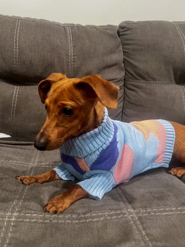 Customer photo review of Groovy sweater