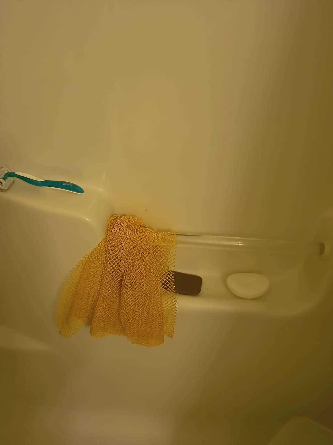 Customer photo review of African Net Sponge