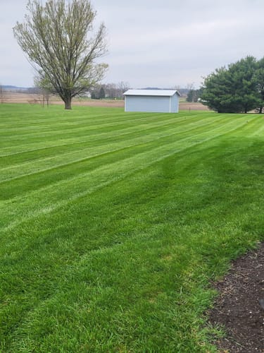 Customer photo review of Protene Performance Summer Fertilizer