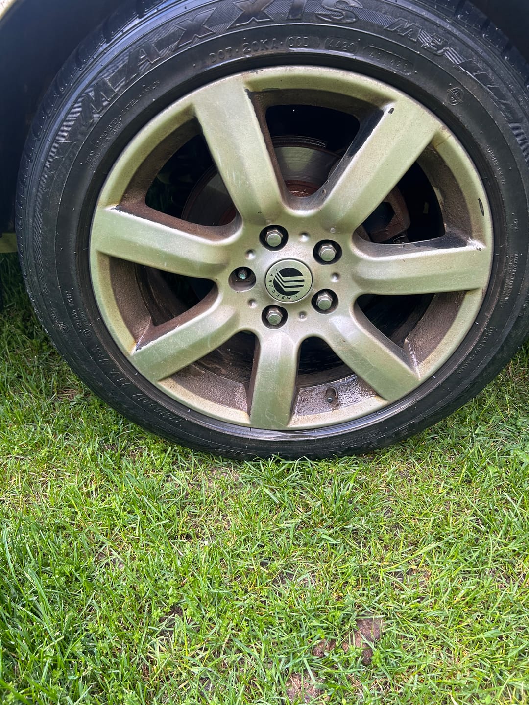 Customer photo review of Wheel Cleaner