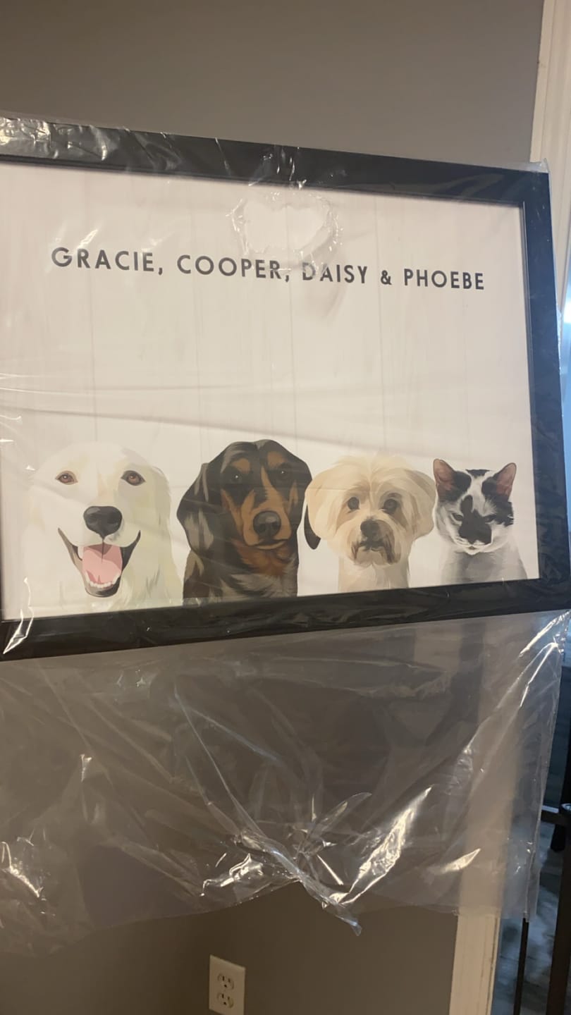 Customer photo review of Custom Four Pet Portrait