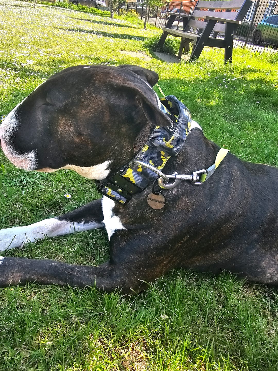 Customer photo review of ID Dog Tag - Black (With Gift Box)