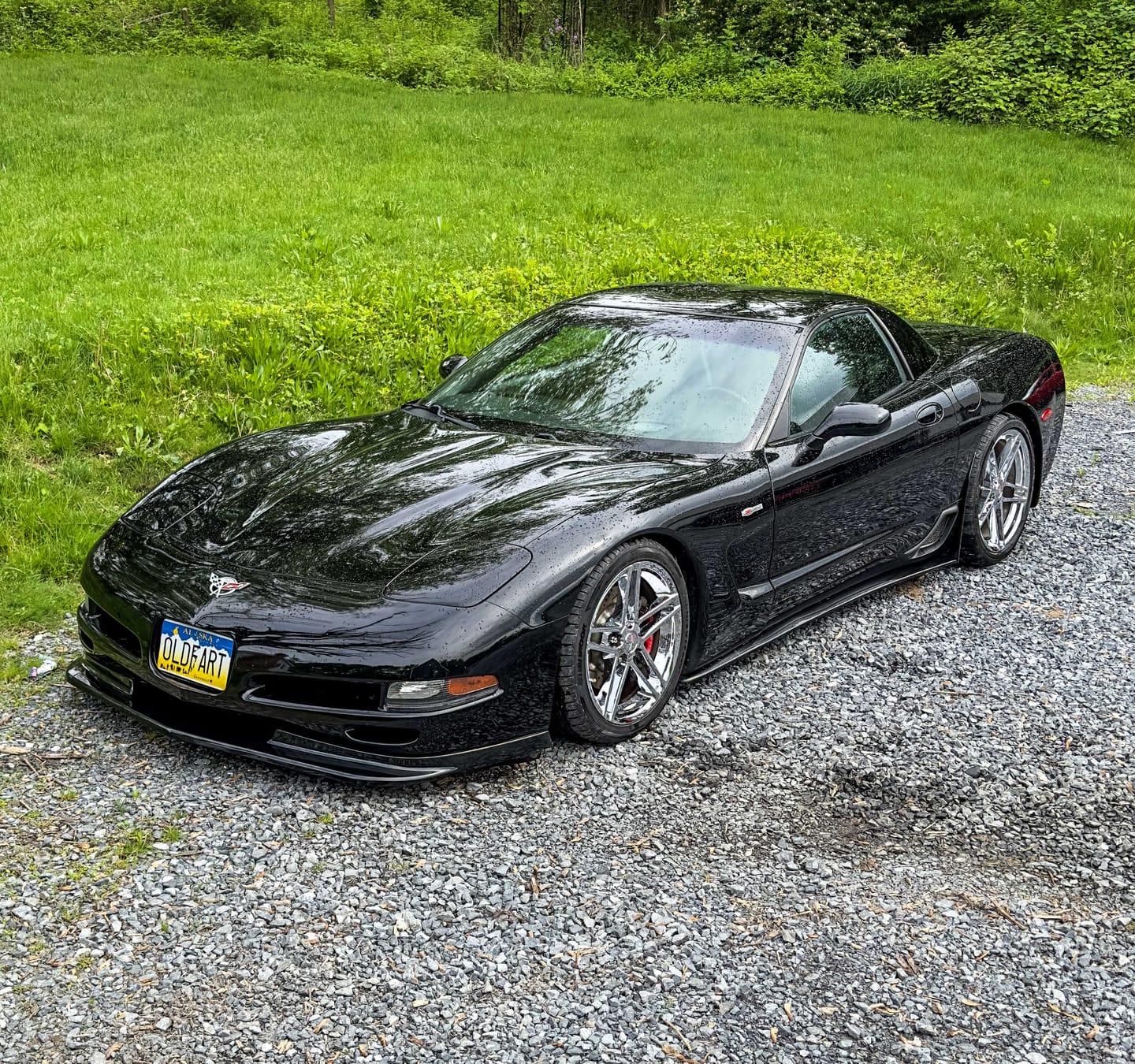 Customer photo review of Chevrolet Corvette C5 ZR1 Side Skirts Rocker Panels